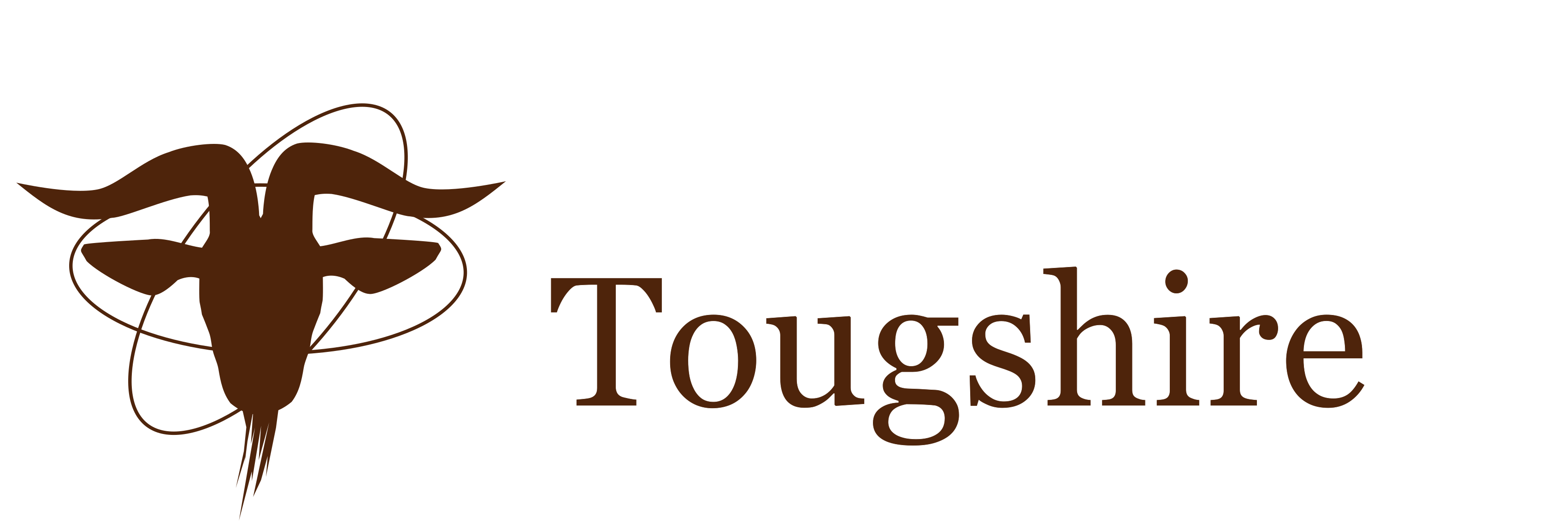 tougshire